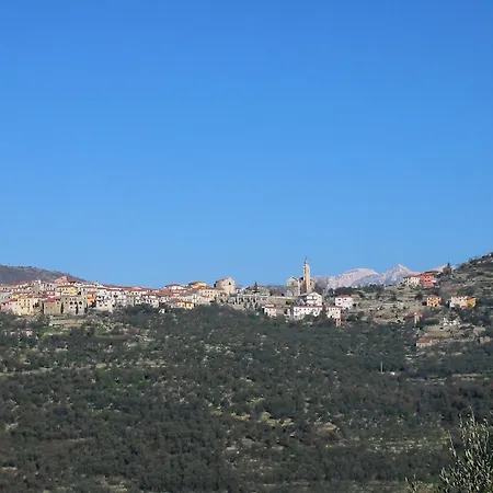 L'ulivo Di Sempre 度假居 Chiusanico