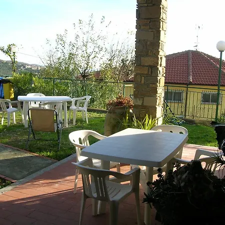 L'ulivo Di Sempre